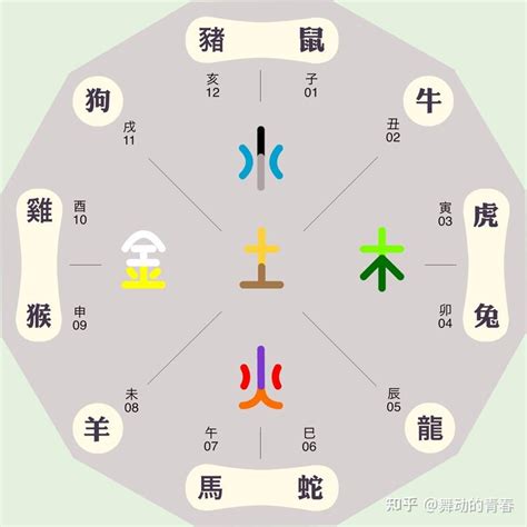 乙巳年五行|乙巳年五行屬什麼？探索乙巳年的十二生肖和五行特性